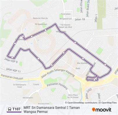 t107路多久，探討城市公交線路與日常通勤的微妙關係